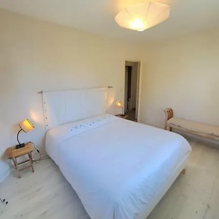 Maison Au Calme . 5ieme Arr . Ouest Lyonnais 度假居